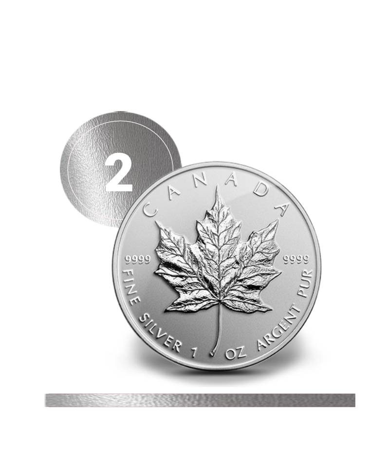 Stříbrná mince Maple Leaf 1 oz | STEP Finance