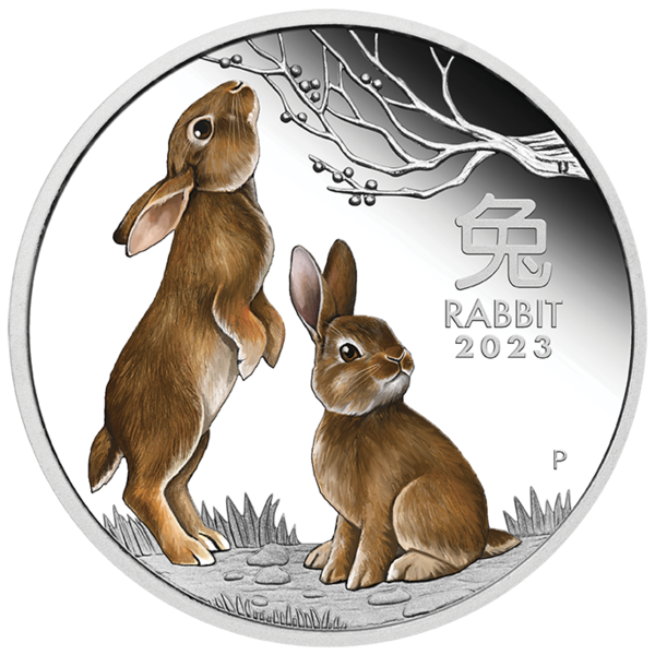 Stříbrná mince Rok Zajíce 2023 1 oz proof, kolorovaná