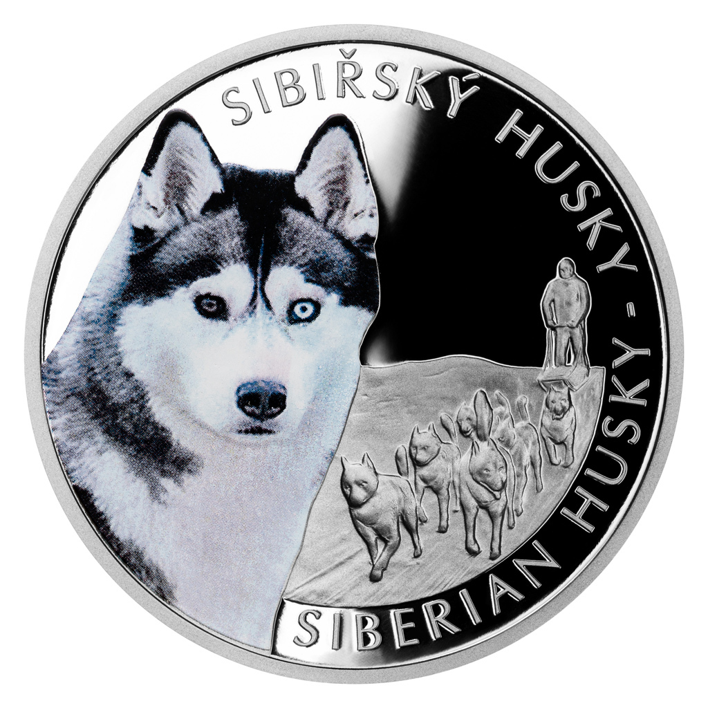 Stříbrná mince Psí plemena - Sibiřský husky 1 oz proof 2023
