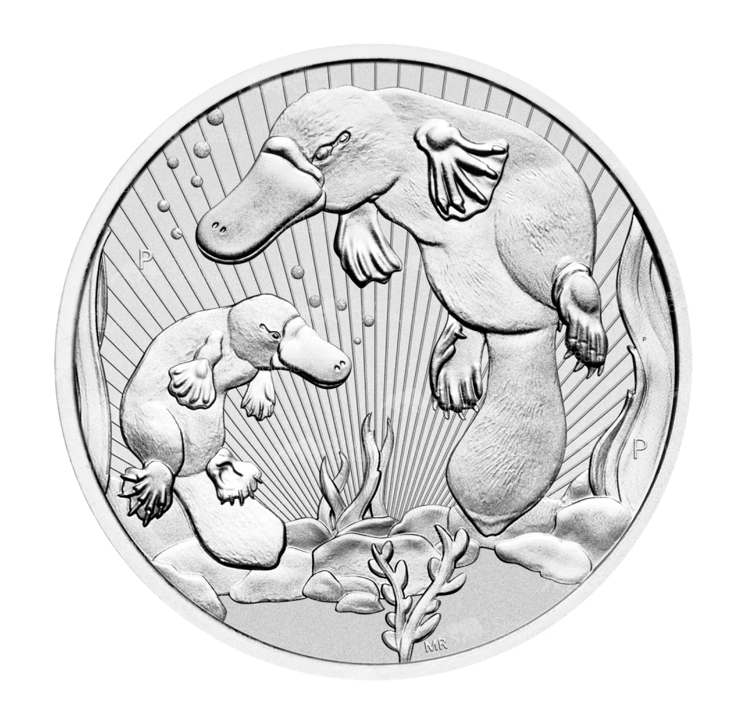 Stříbrná mince Ptakopysk 10 oz BU 2021
