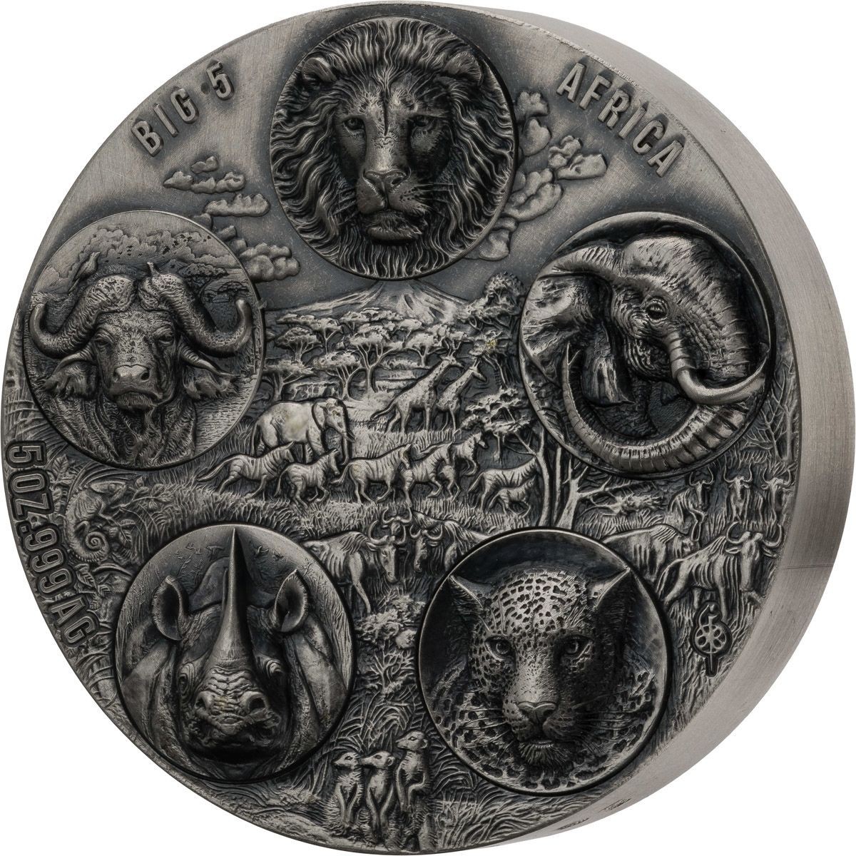 Stříbrná mince Big Five Africa - Completer 5 oz, vysoký reliéf, antique finish 2022