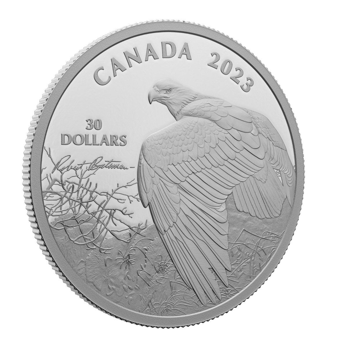 Stříbrná mince Orel bělohlavý 2 oz proof 2023