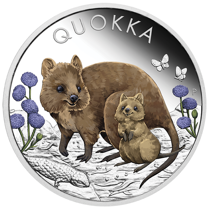 Stříbrná mince Quokka 1 oz proof kolorovaná 2022