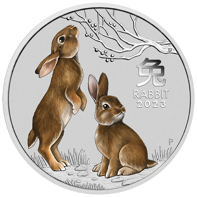 Stříbrná mince Rok Zajíce 1/4 oz kolorovaná 2023