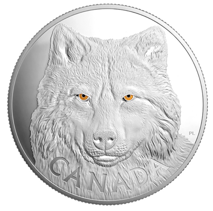 Stříbrná mince V očích vlka 1 kg