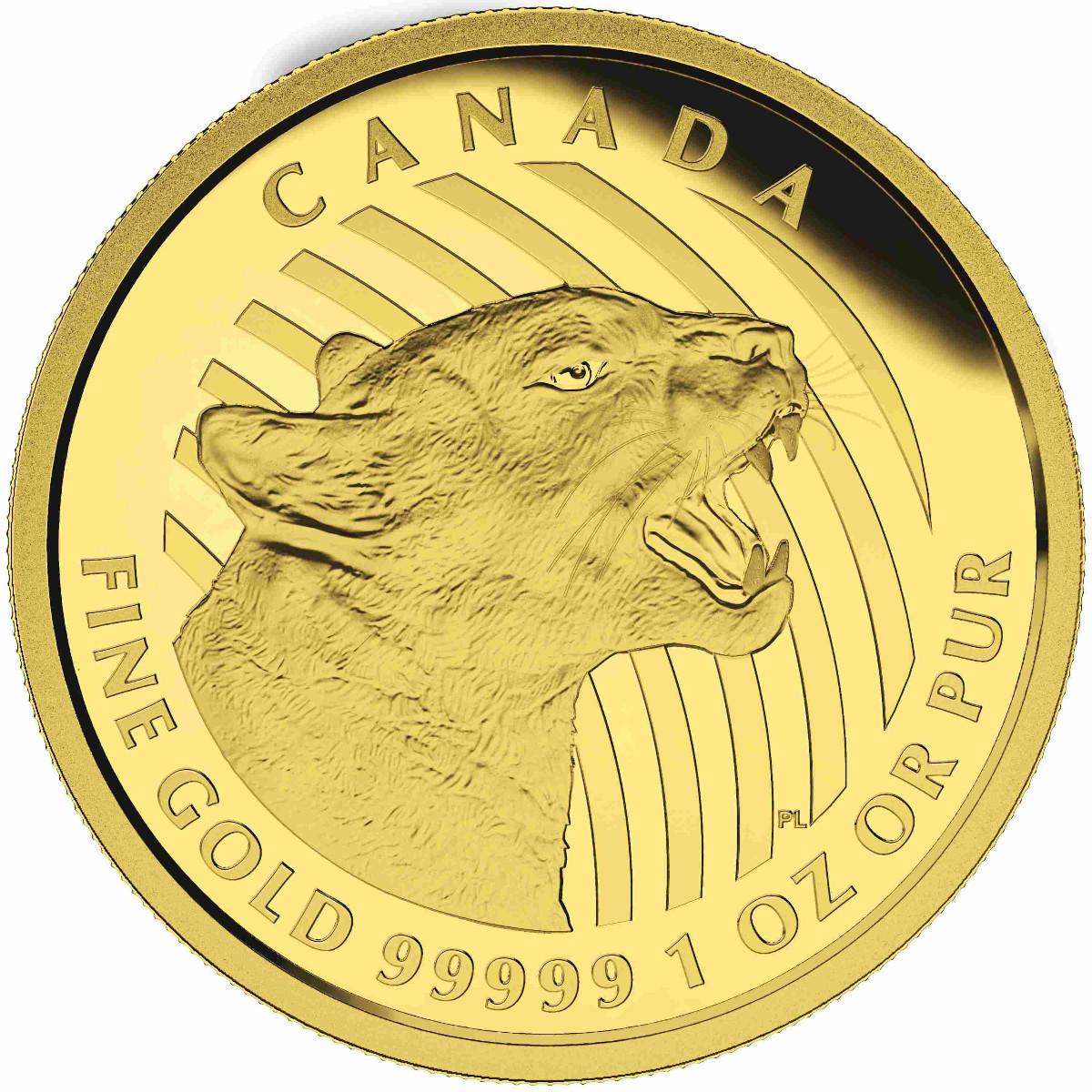 Zlatá mince Vrčící puma 1 oz