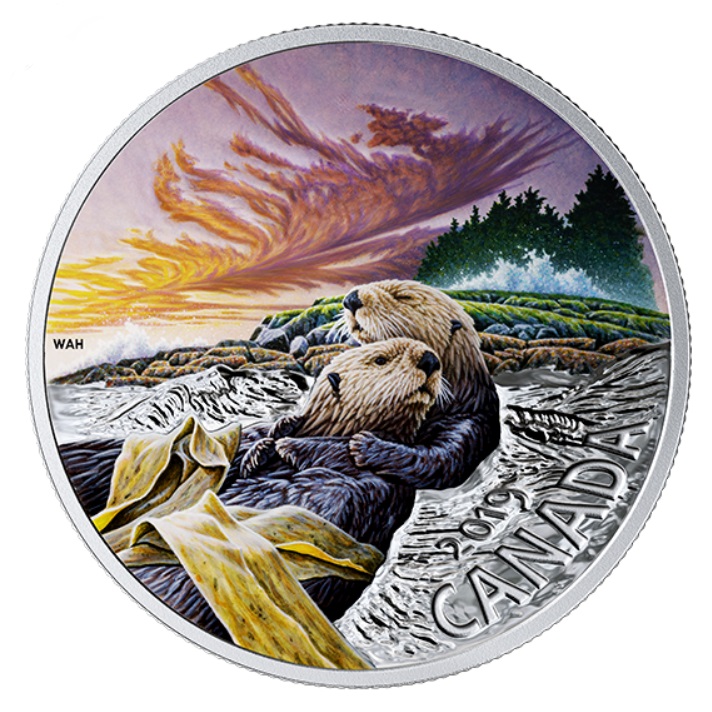Stříbrná mince Kanadská fauna - Vydra mořská 1 Oz proof kolor 2019