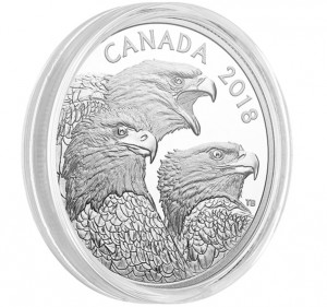 Stříbrná mince Magnificent Bald Eagle 1 oz proof 2018