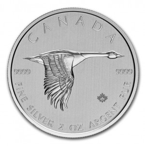 Stříbrná mince Kanadská husa 2 oz