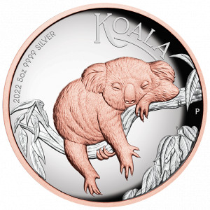 Stříbrná mince Koala 5 oz pozlacená, vysoký reliéf 2022