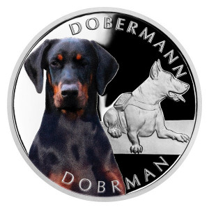 Stříbrná mince Psí plemena - Dobrman 1 oz proof 2023